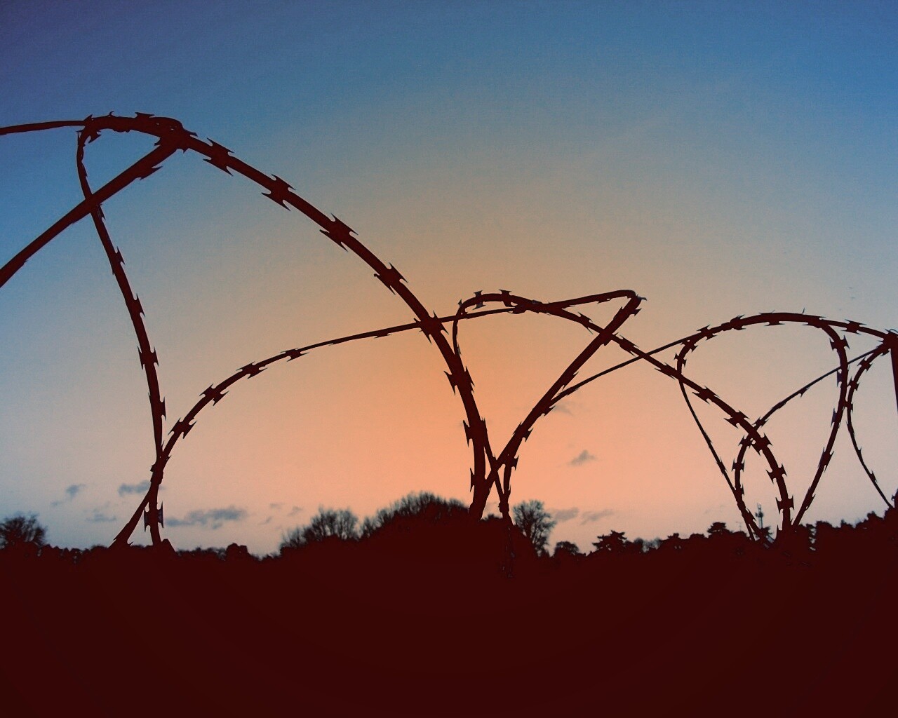 Колючая проволка обои