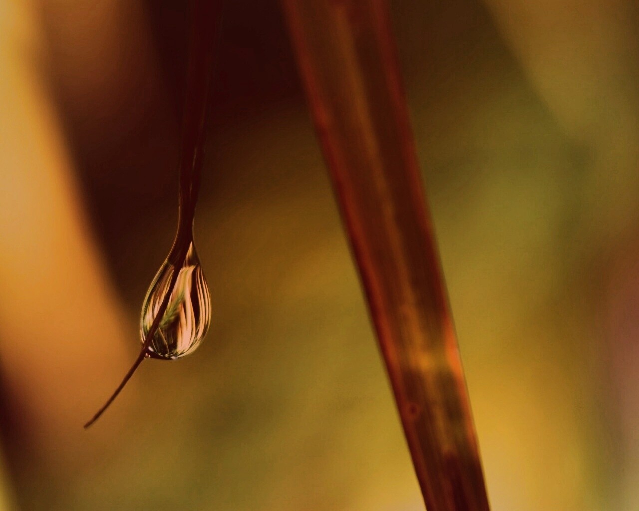 Стекающая капля обои