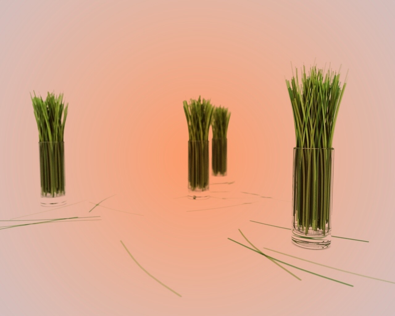 Трава в стакане обои