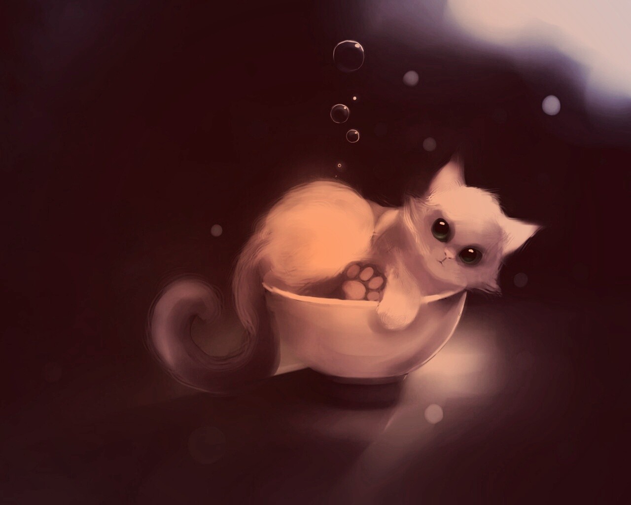 Котёнок в миске обои