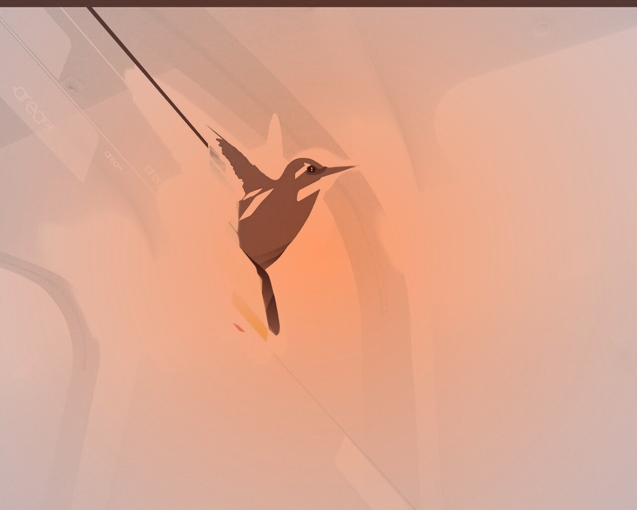 Логотип-колибри обои