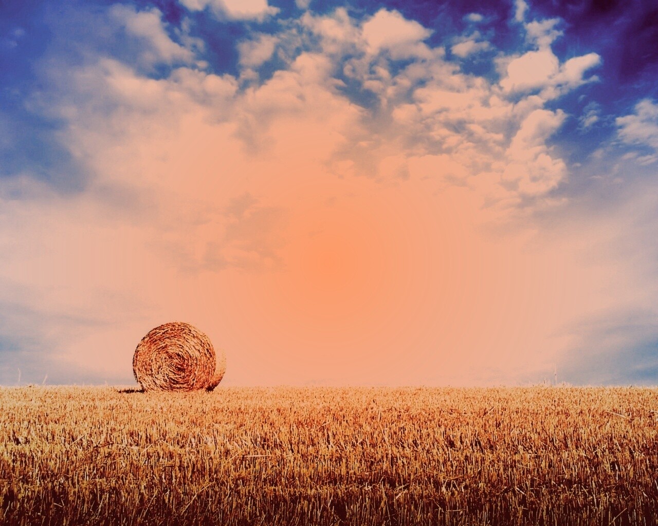 СОломеннынй рулон обои