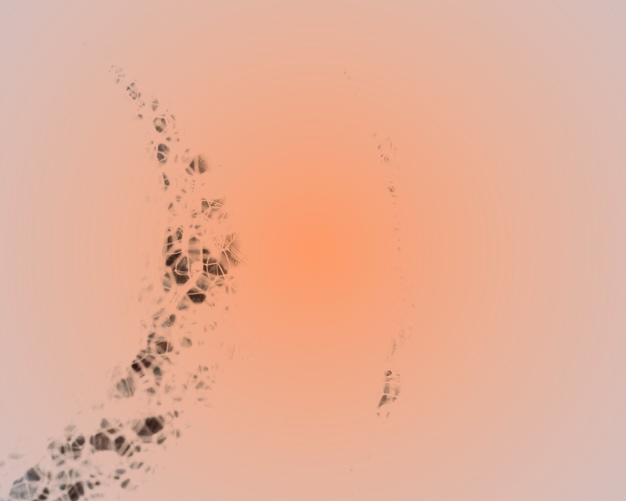 Мыльная пена обои