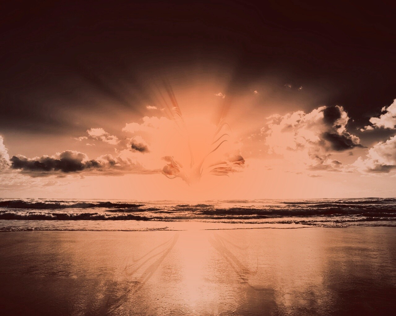 Абстрактные перья на фоне заката обои