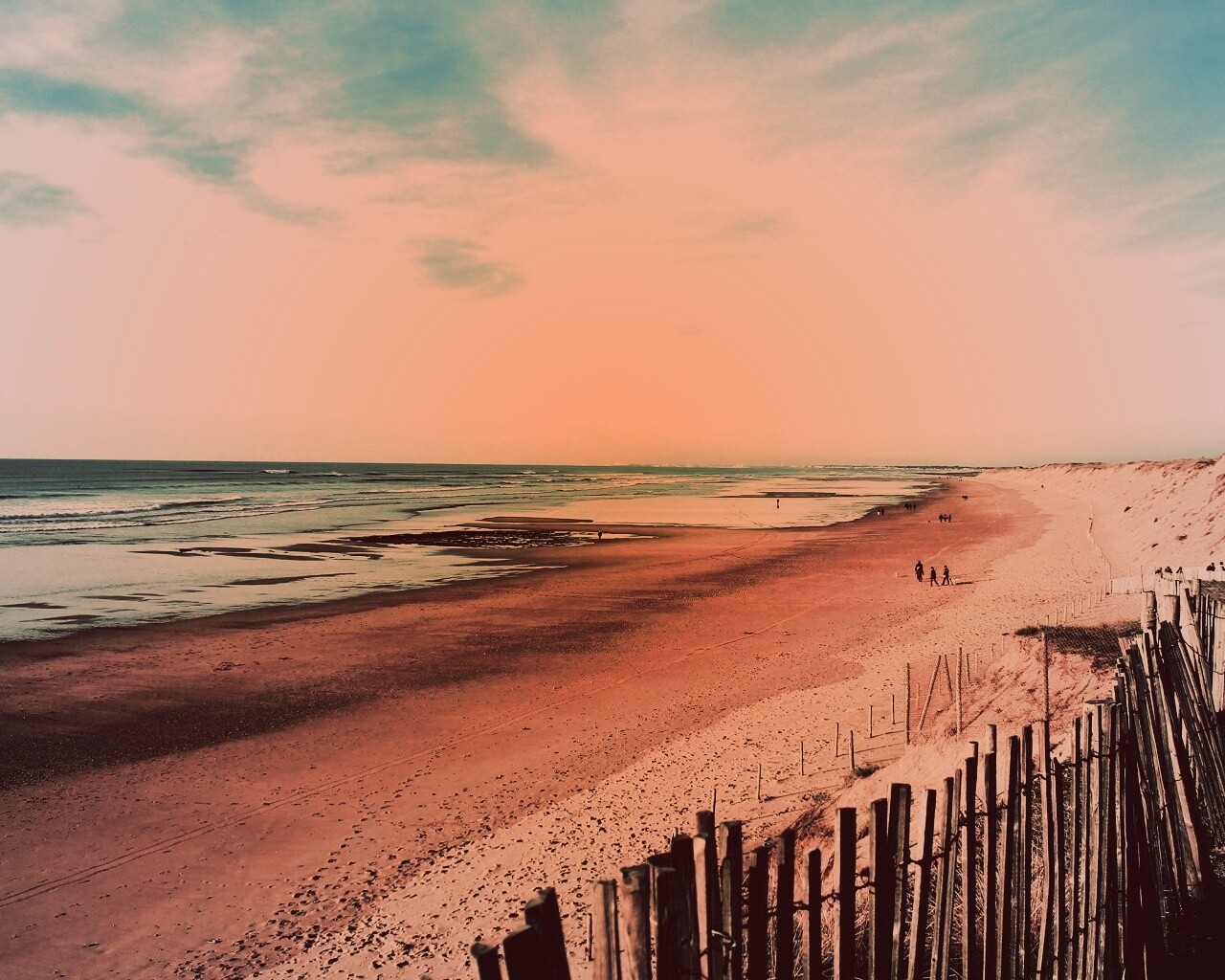 Обмелевший берег обои