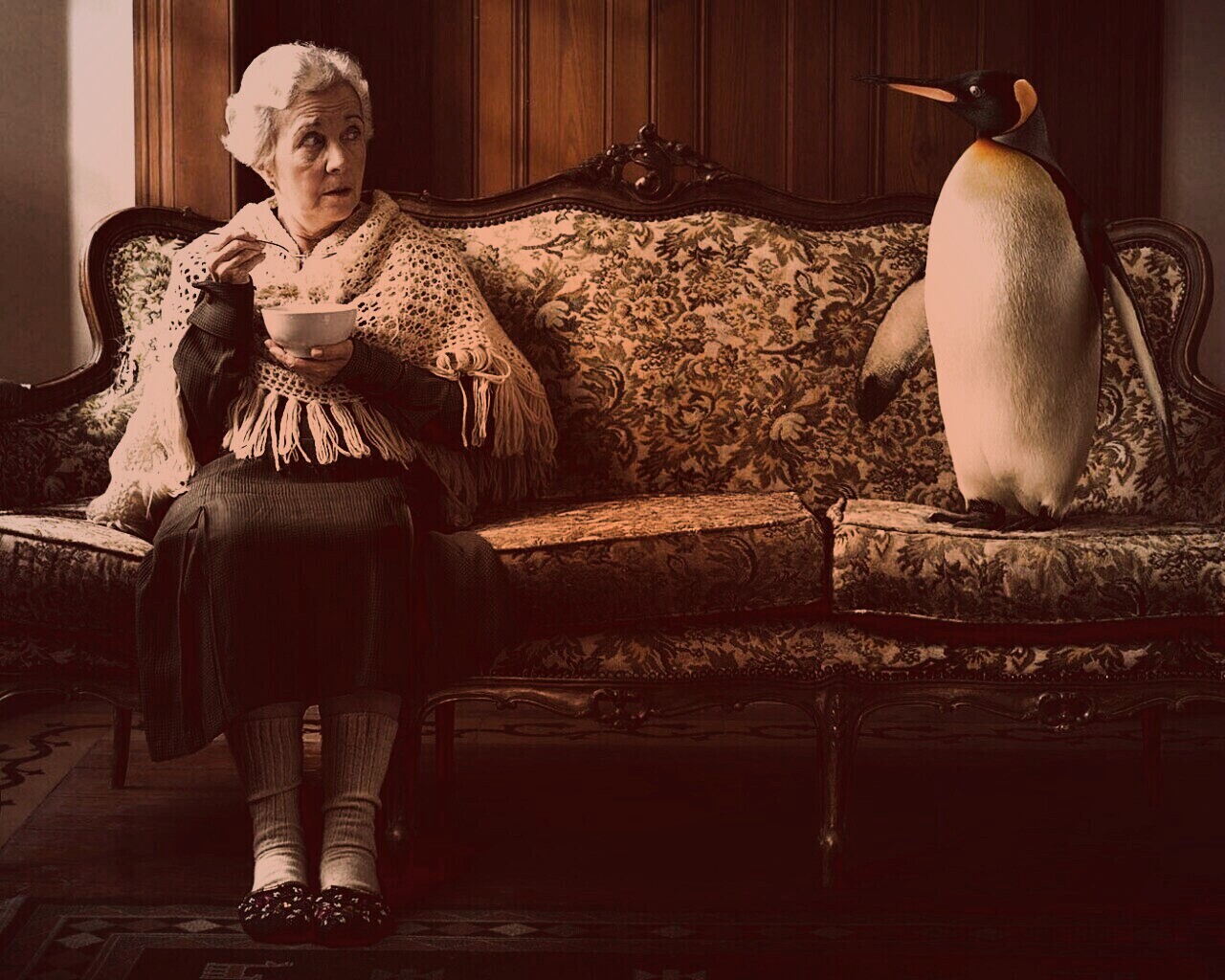 Соседи по дивану обои