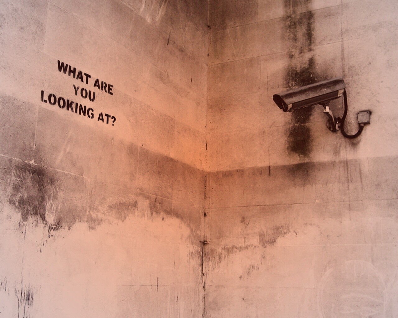 На что ты смотришь? обои