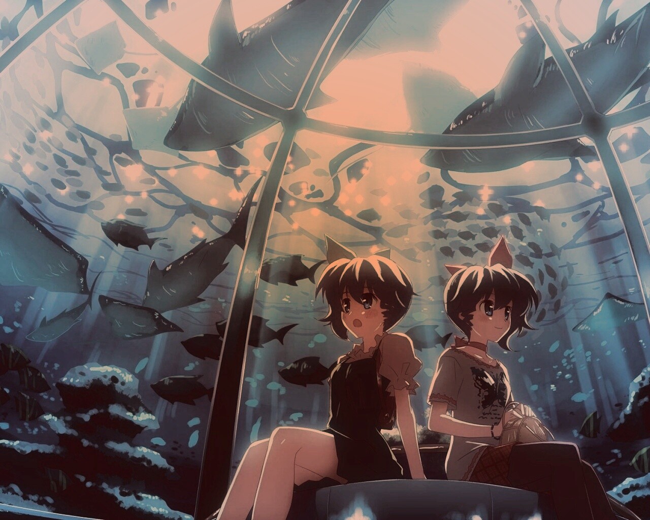 В океанариуме обои