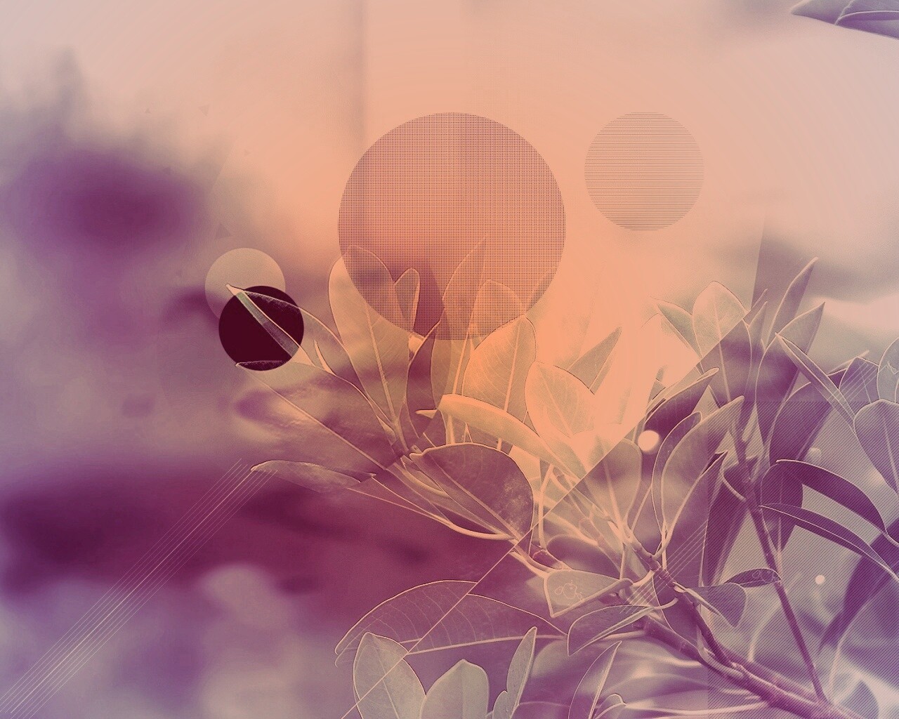 Синий фильтр с кргуами на фото листьев обои