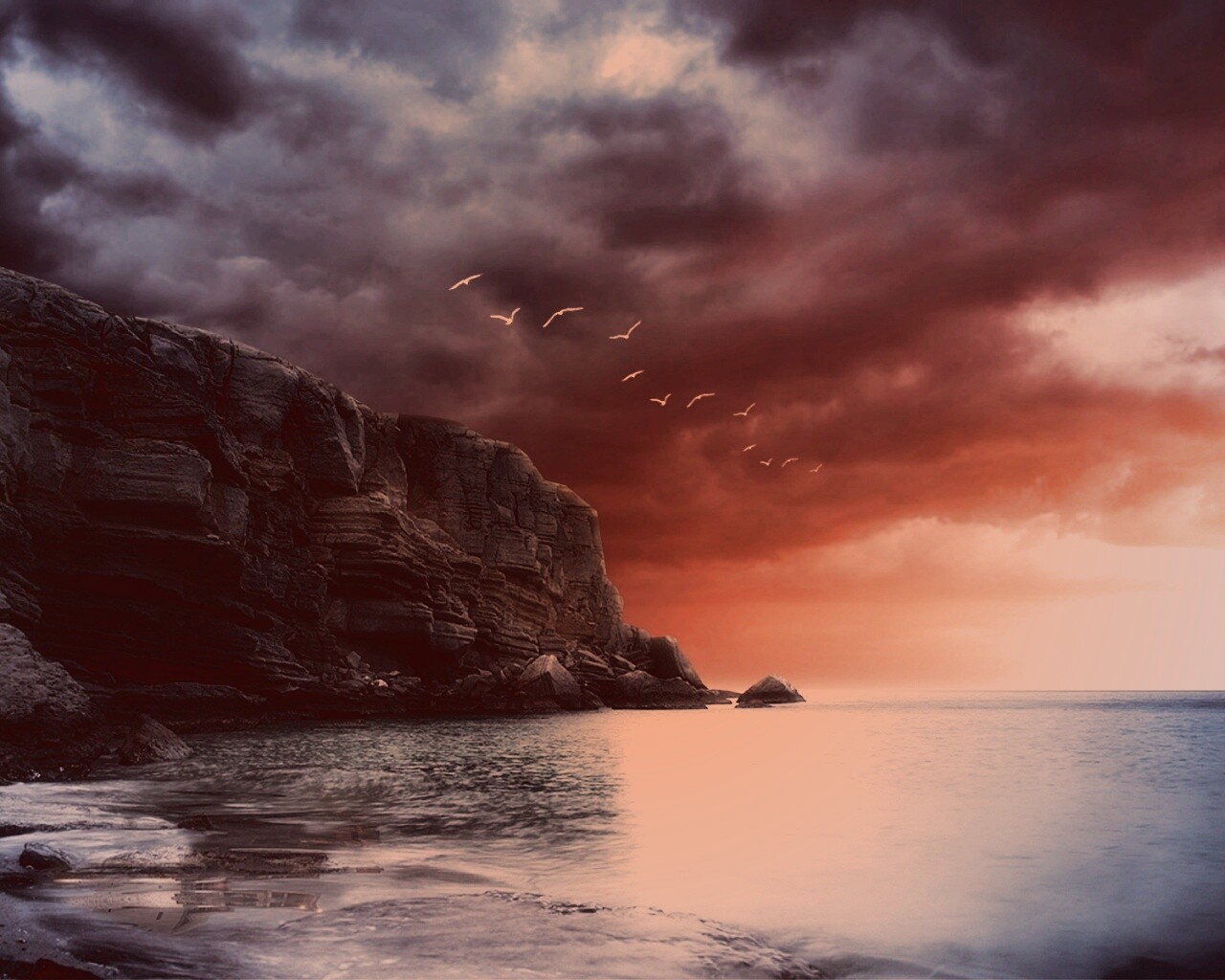 Чайки над скалами обои