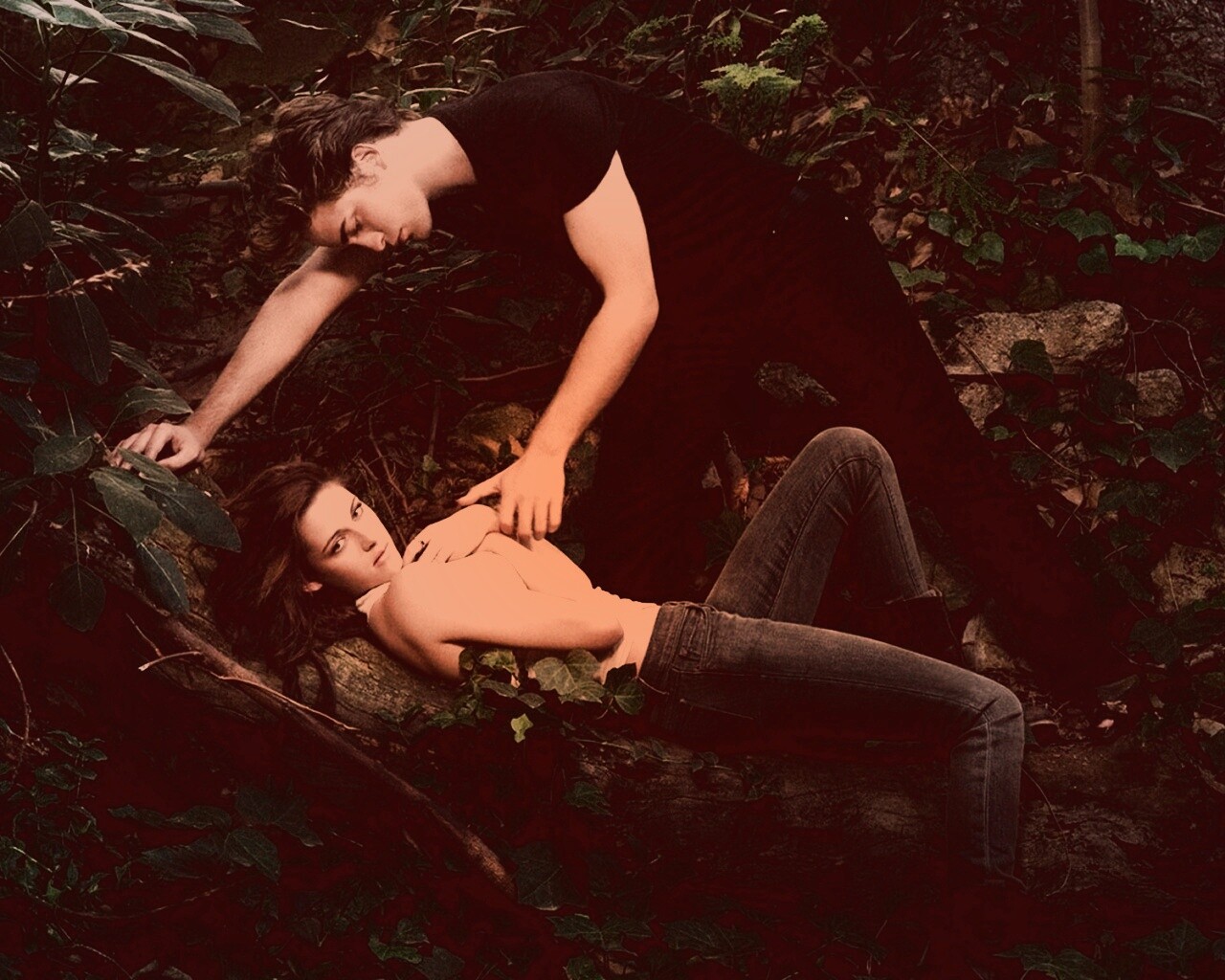 Эдвард и Белла в лесу обои