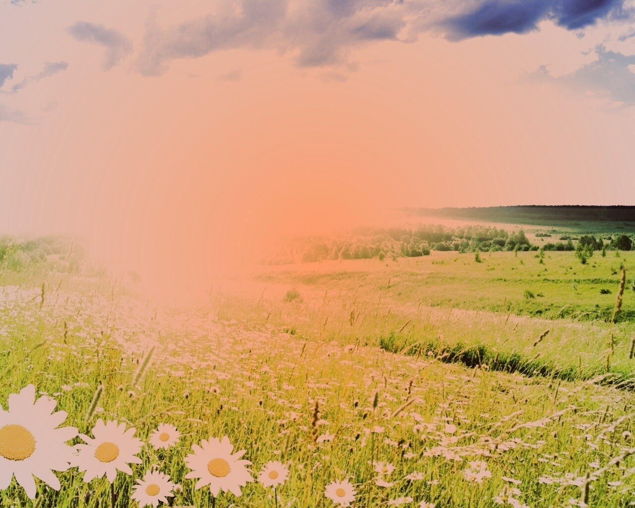 Летний восход обои