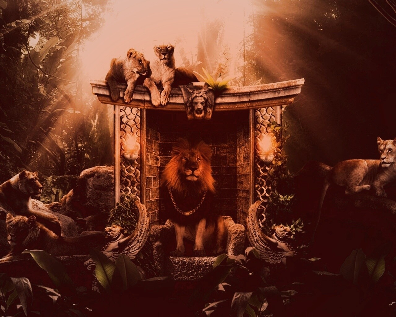 Царь зверей обои
