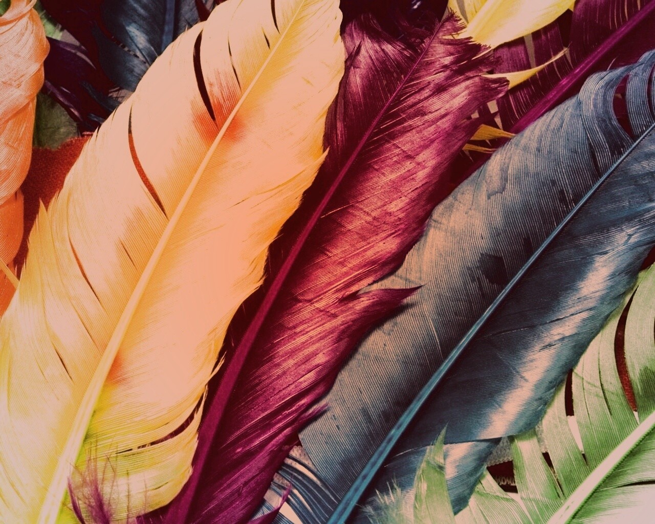 Разноцветные перья обои