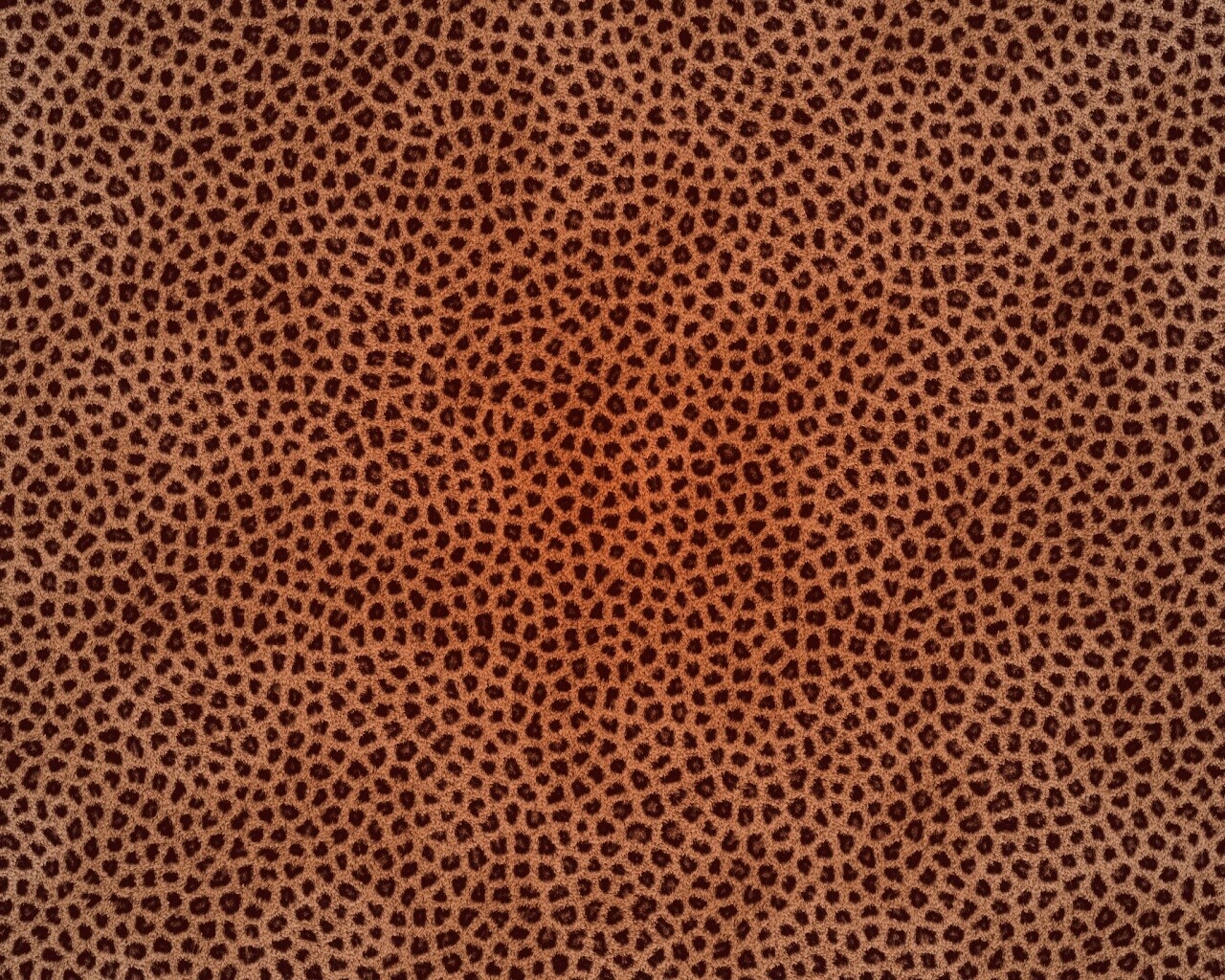 Пятнистая шкура обои