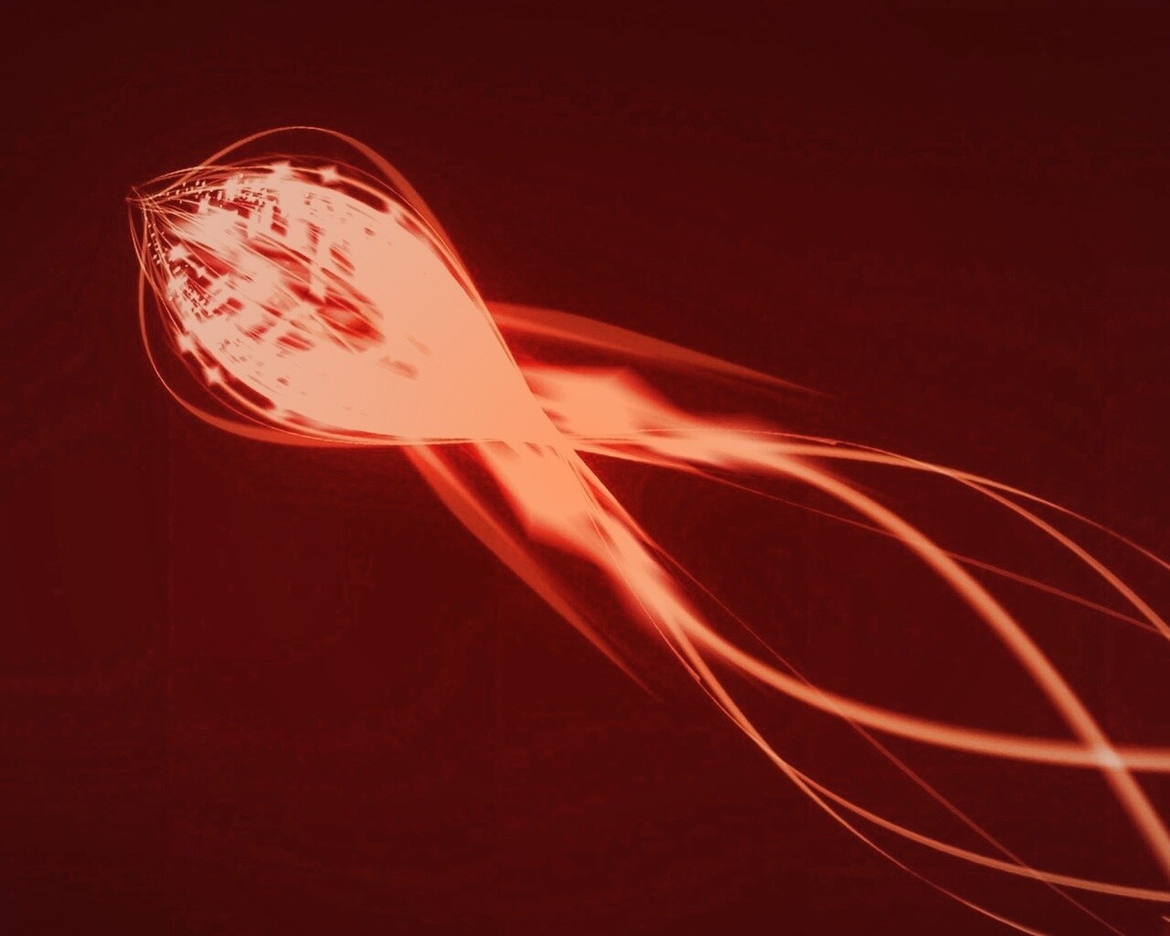 Сгусток красных линий обои