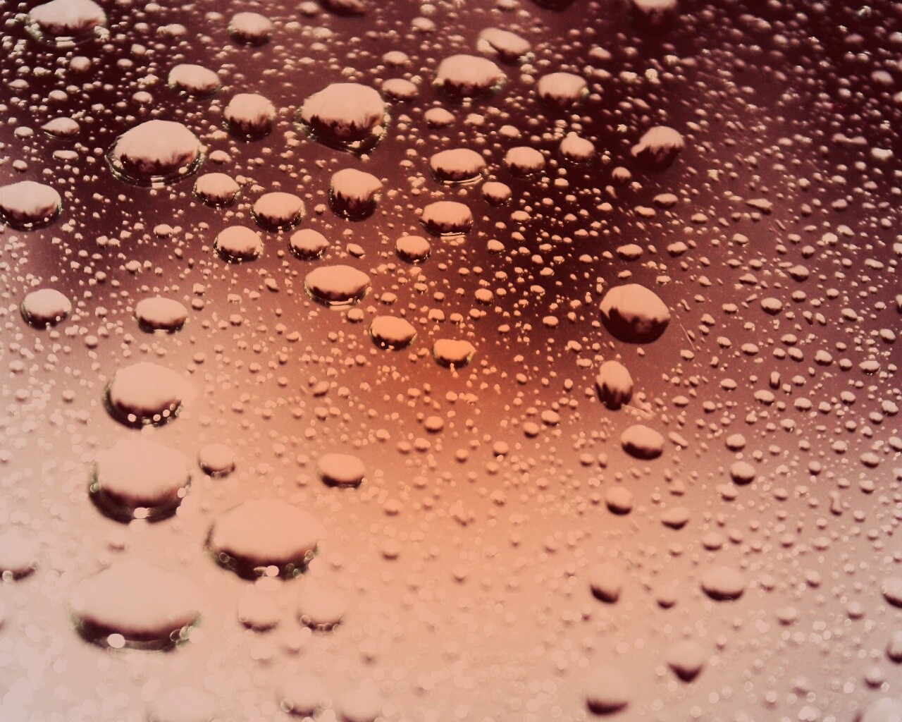 Капли воды на поверхности стекла обои