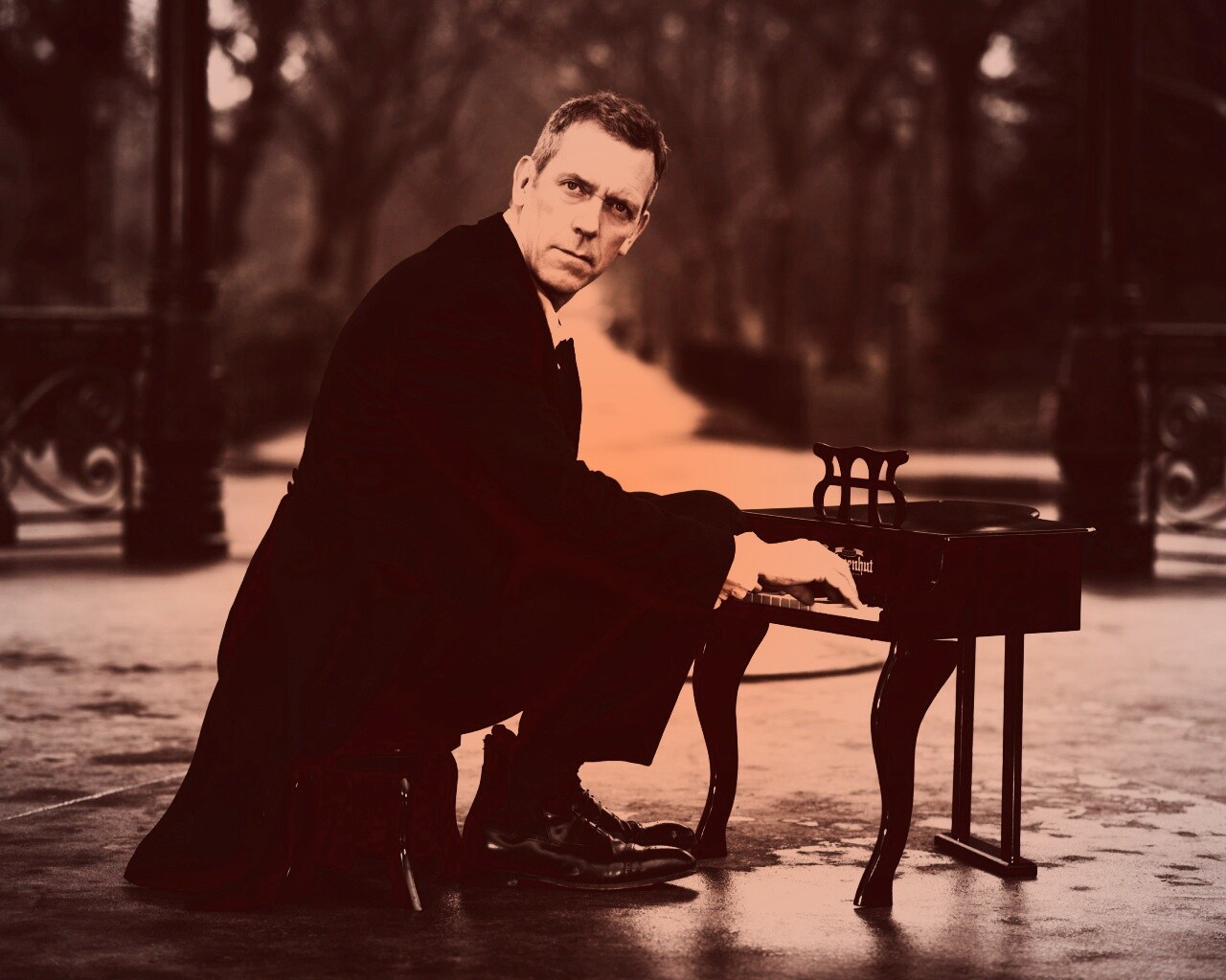 Хью Лори за маленьким роялем обои