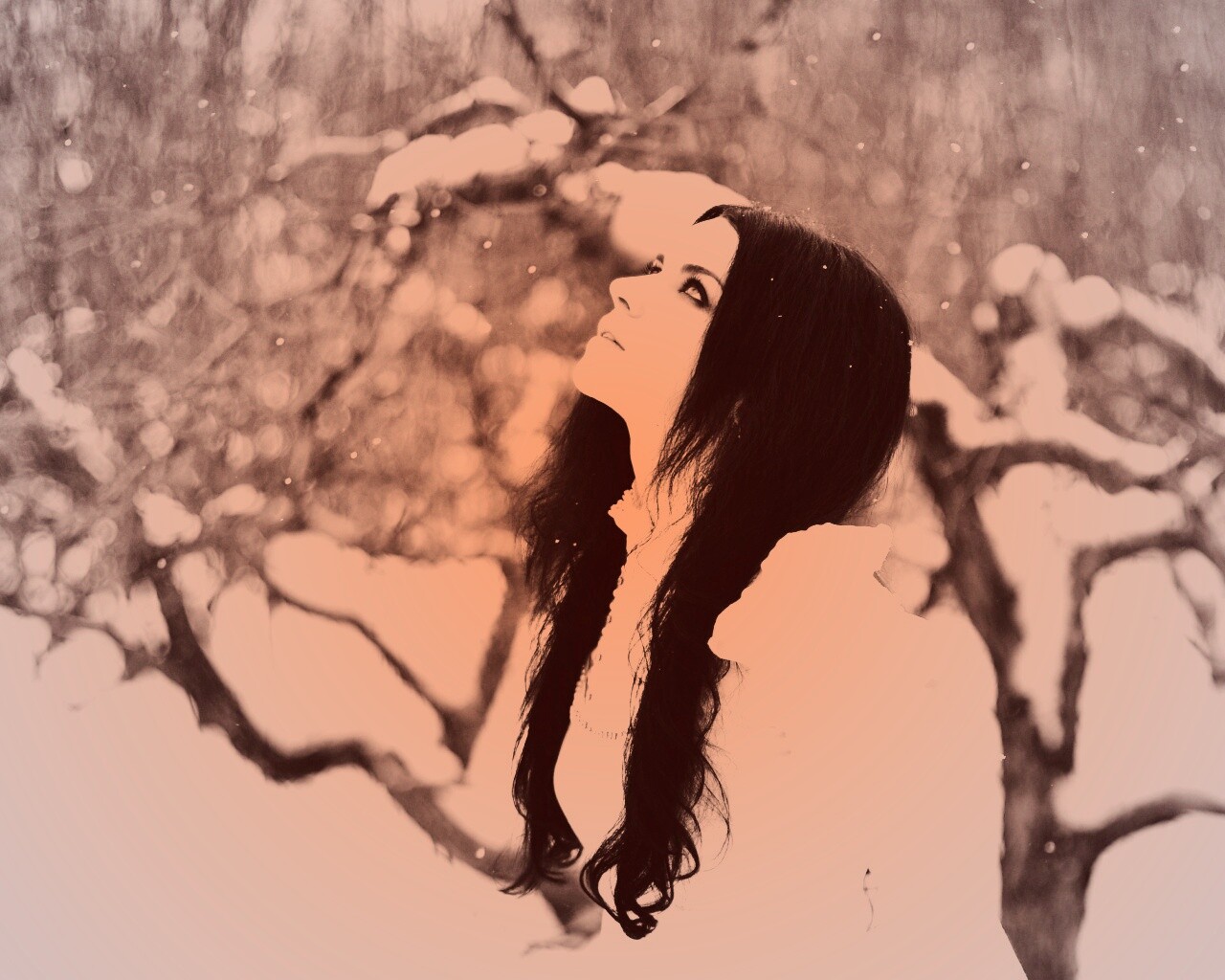 Белоснежная леди обои