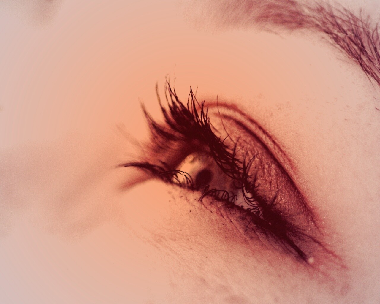 Девичье лицо обои