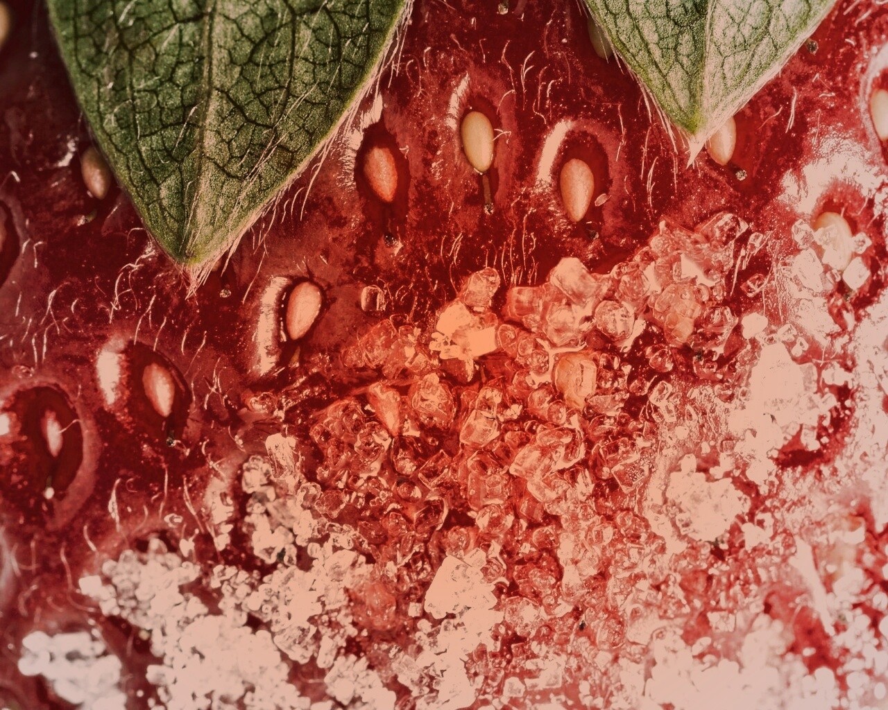 Клубника в сахаре обои