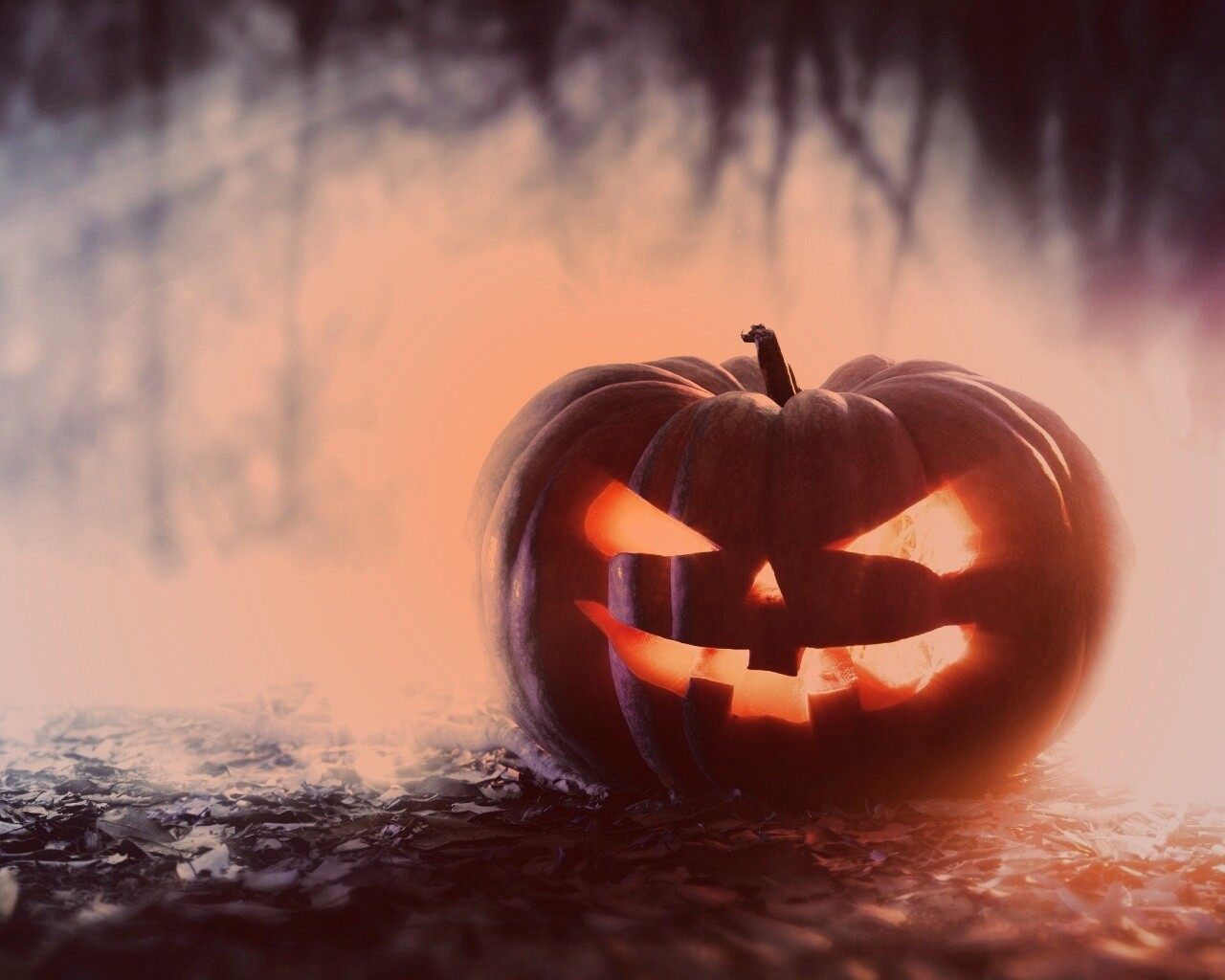 Хэллоуинская тыква обои