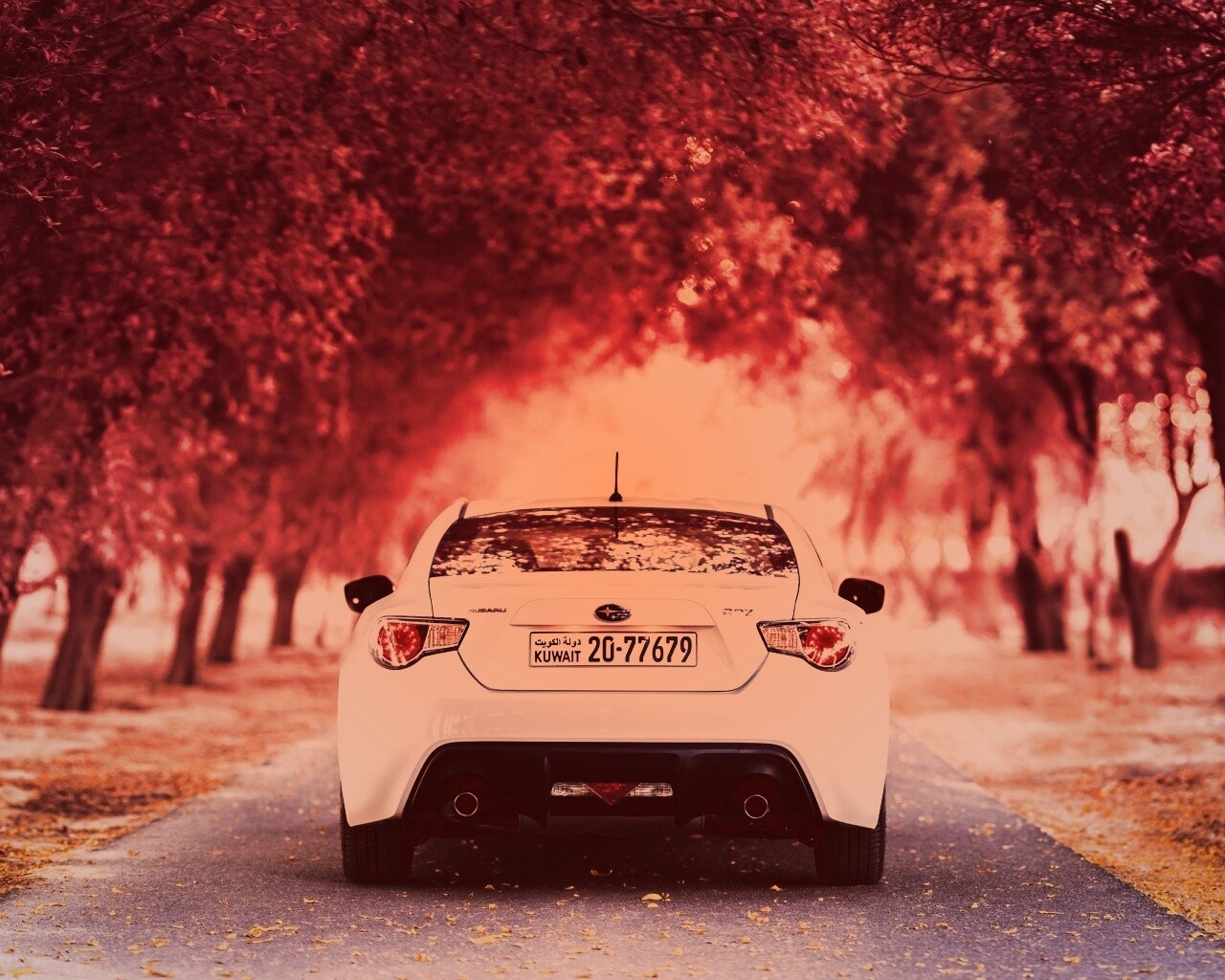 Субару на осенней дороге обои
