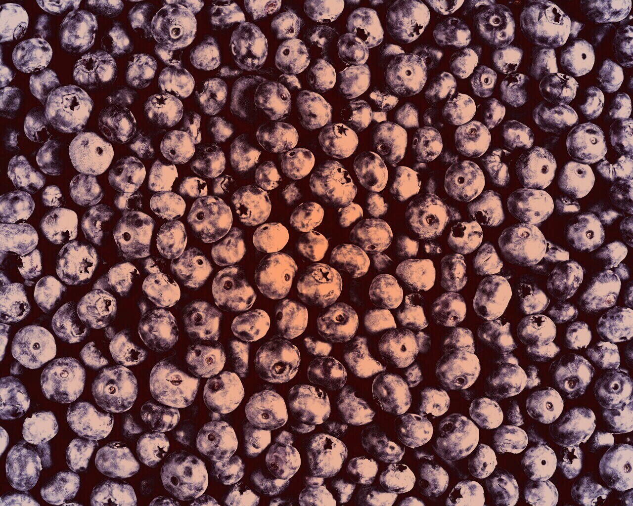 Черника обои