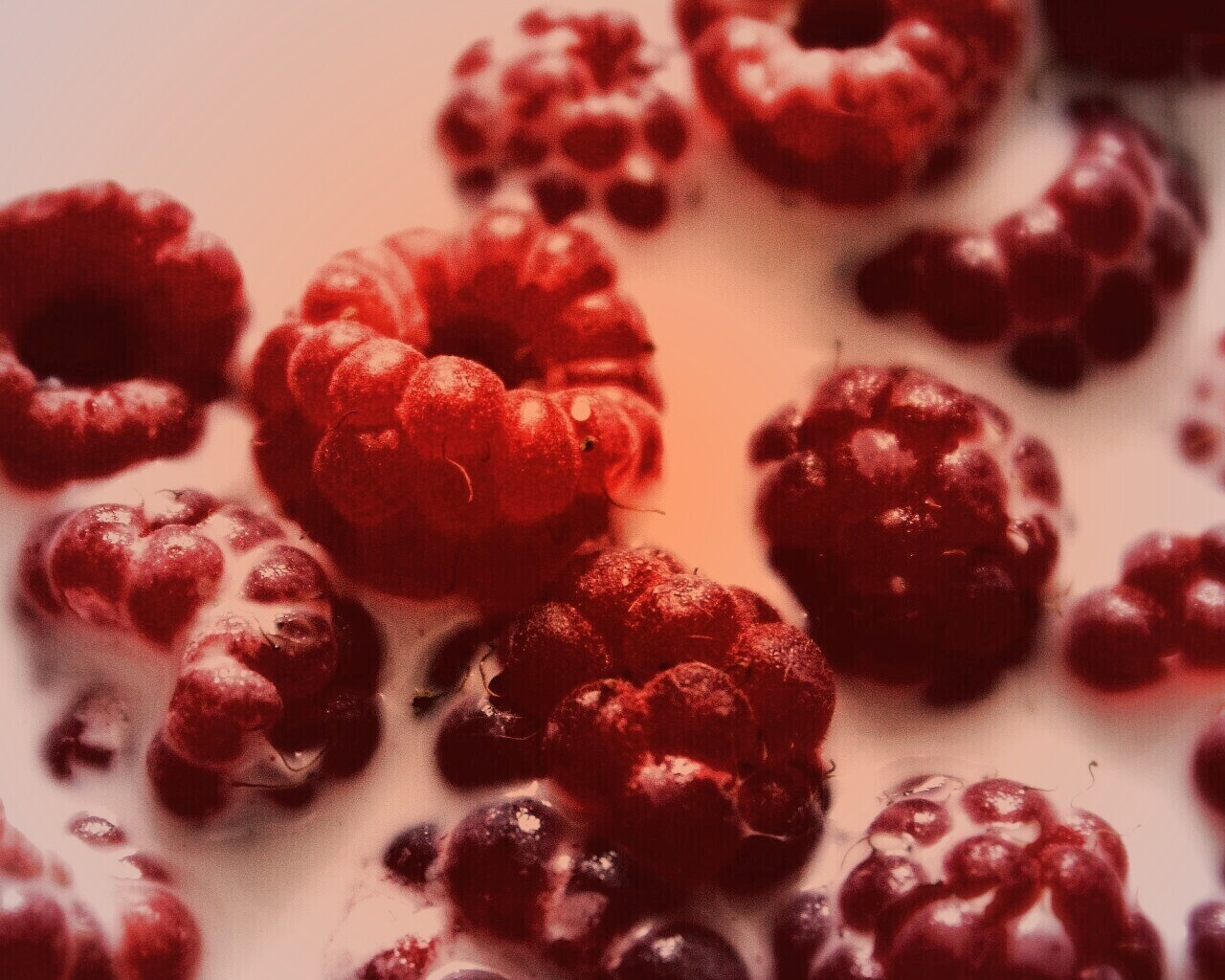 Малина в молоке обои