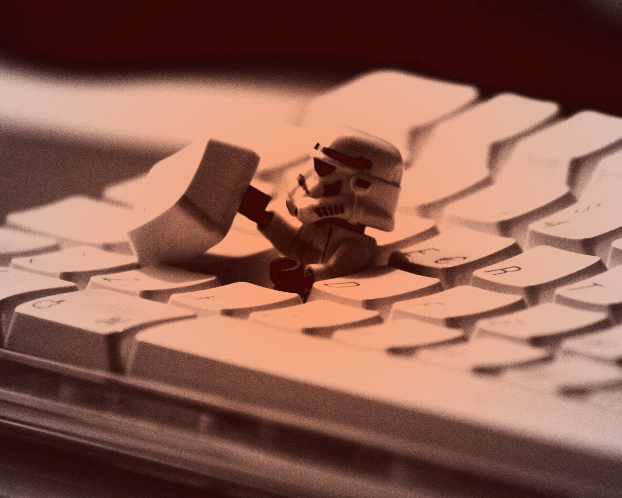 Засада имперского штурмовика обои