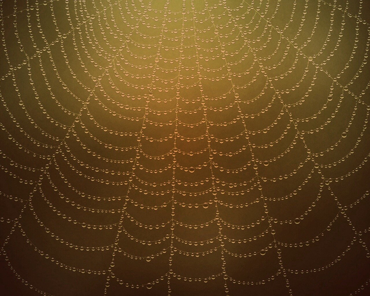 Роса на паутине обои