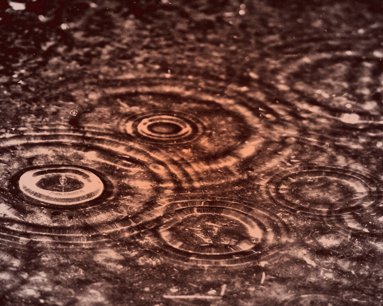 Круги на воде обои