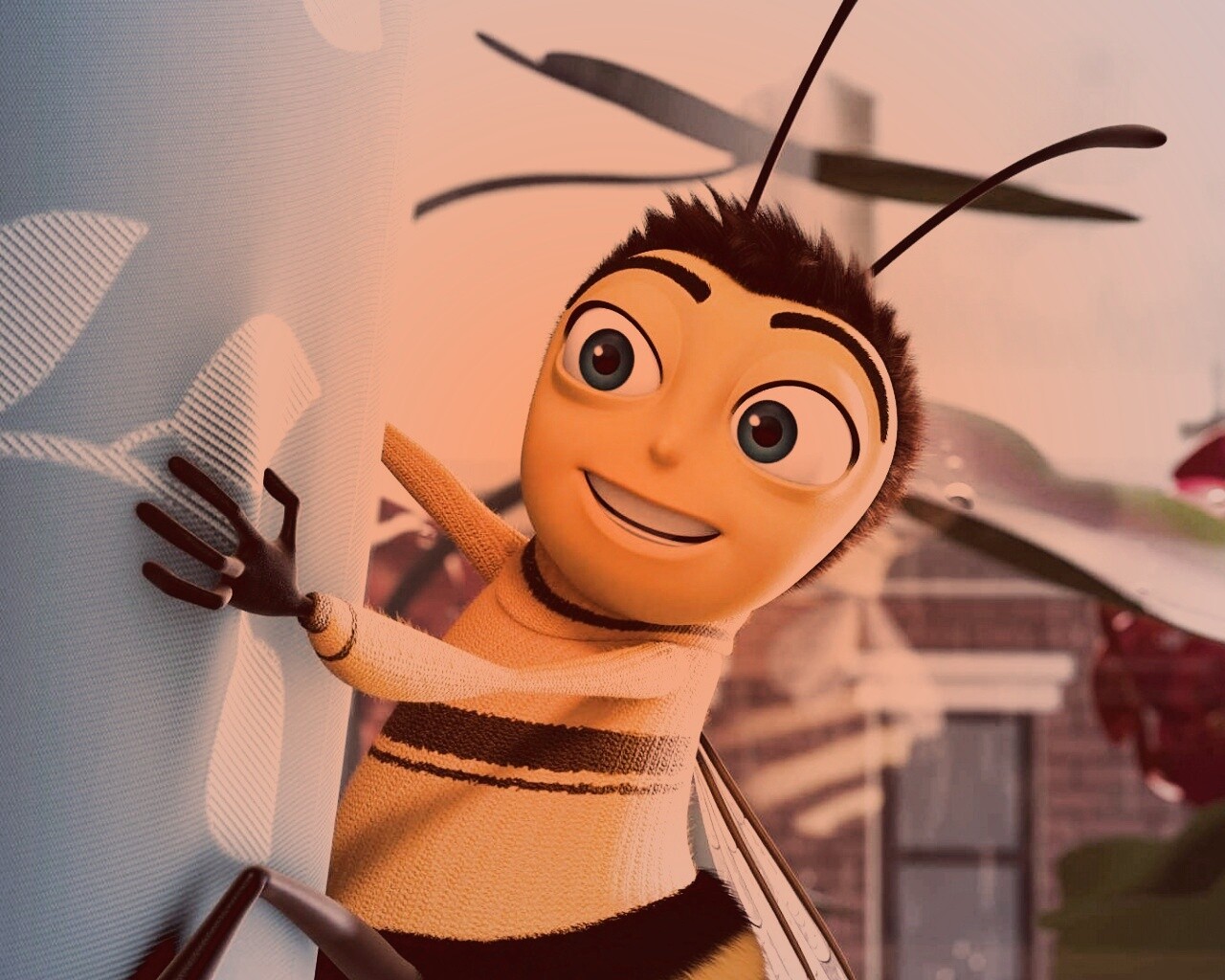 Бимуви обои