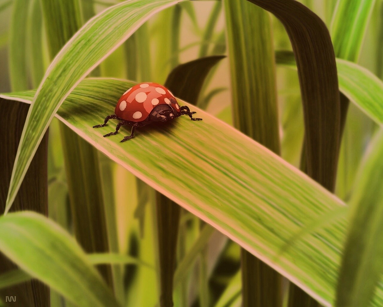 Милая божья коровка робот обои