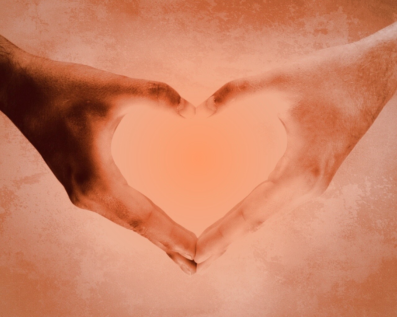 Сердце из сложенных рук обои