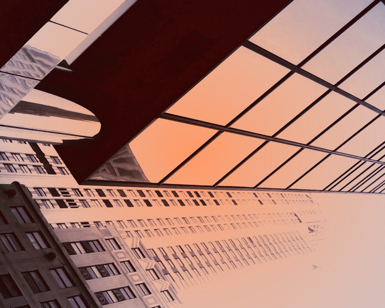 Взгляд вверх обои