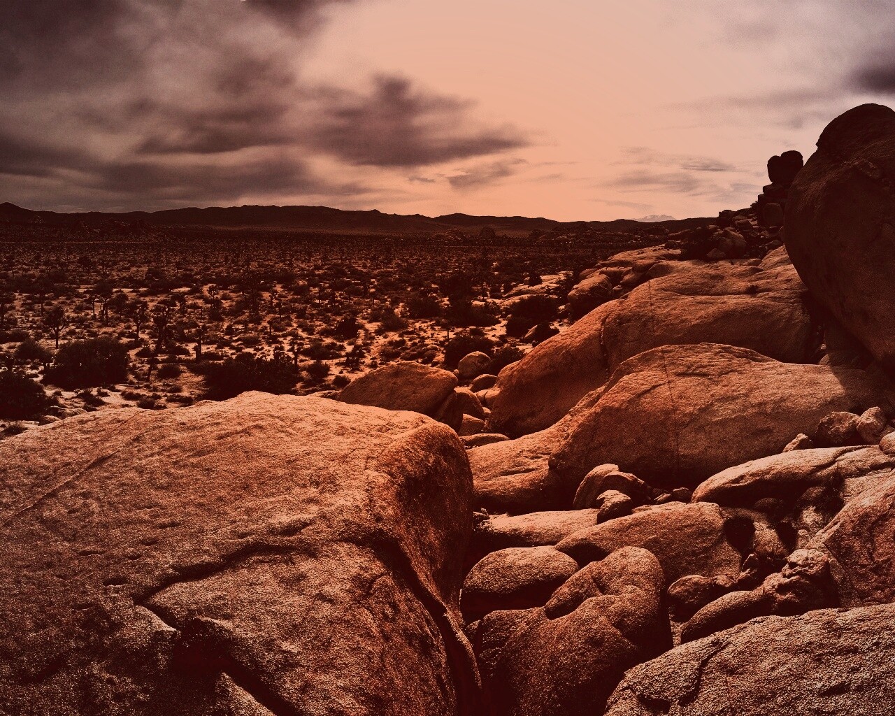 Пустыня Мохаве обои