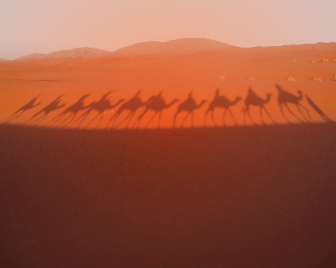 Караван обои