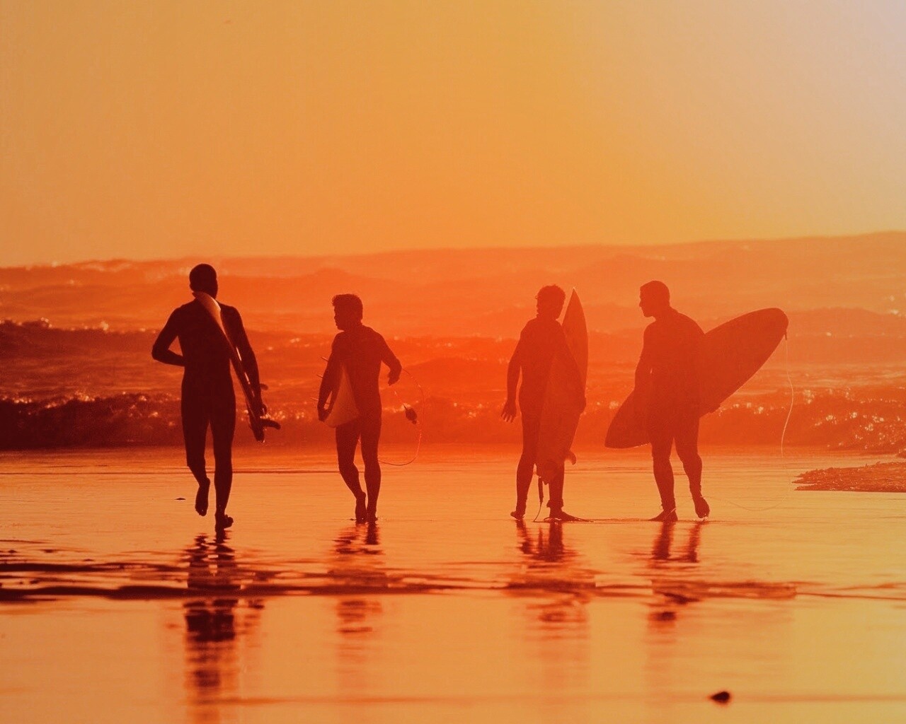 Серфингисты обои