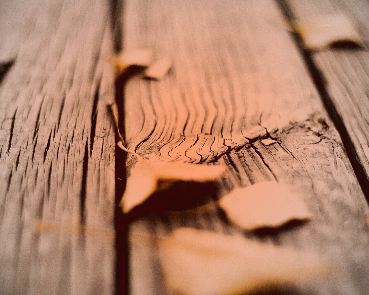 Листья на дощатом полу обои