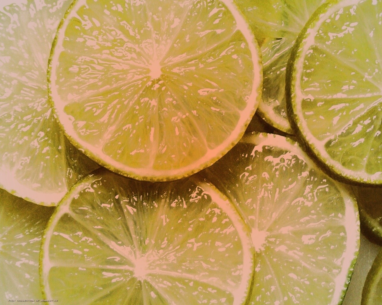Зеленый лайм обои