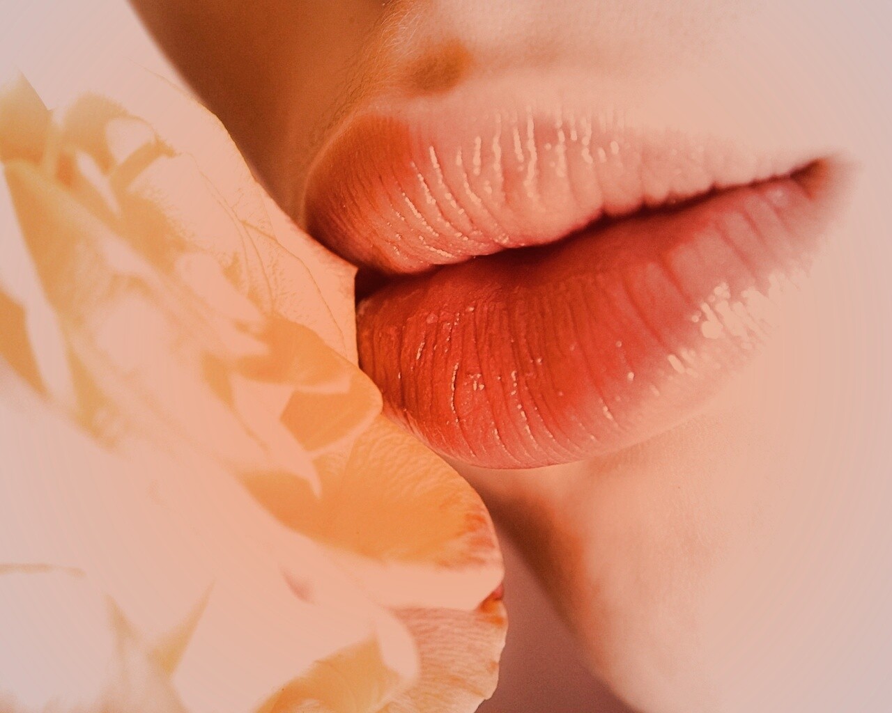 Губы девушки и роза обои