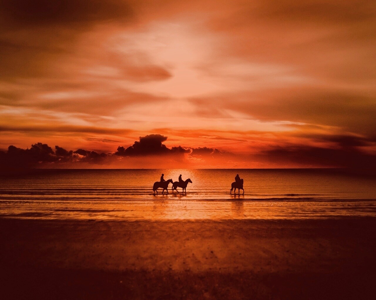 Наездники на закате обои