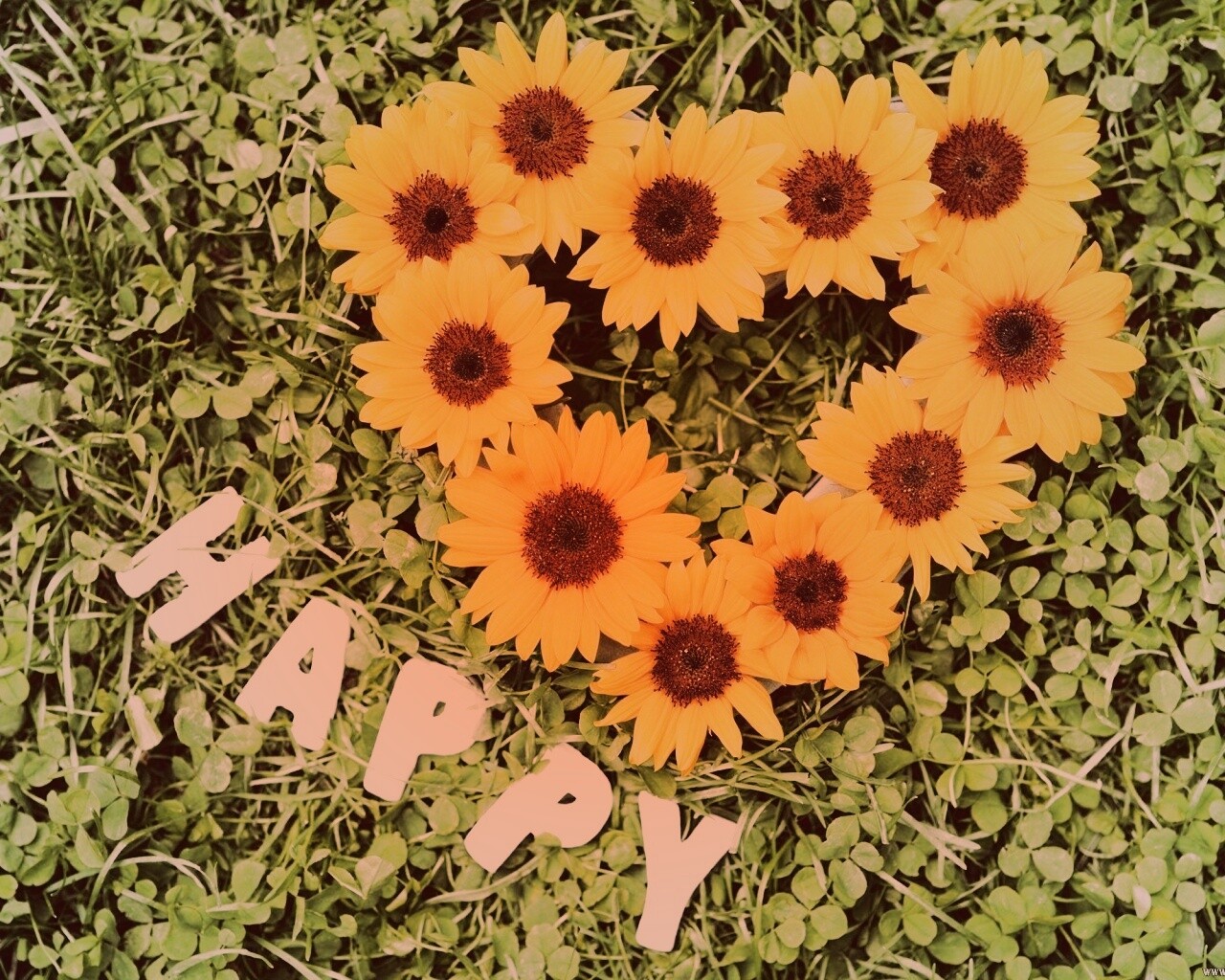 Радость обои