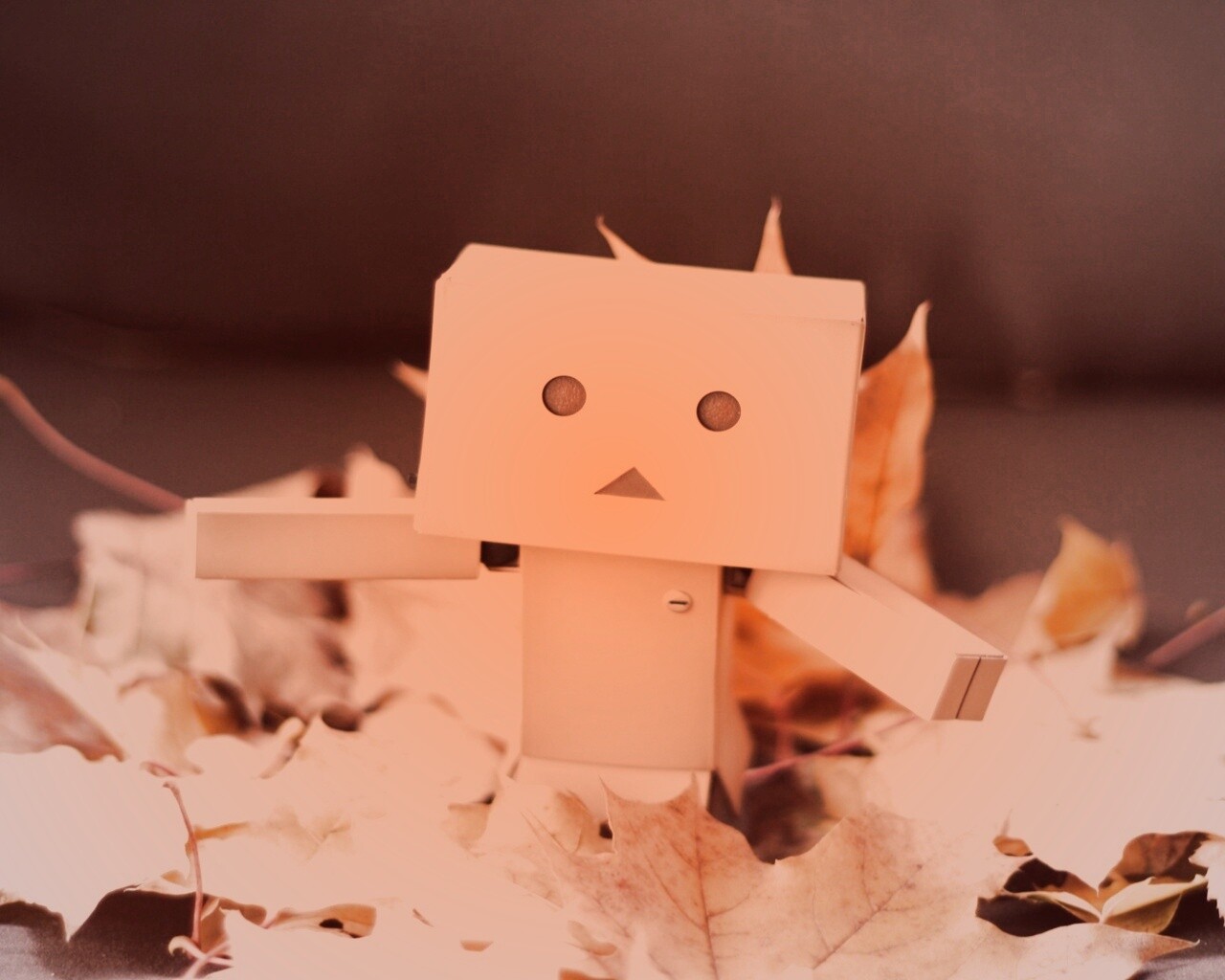  Yotsubato Danbo резвится листьях обои