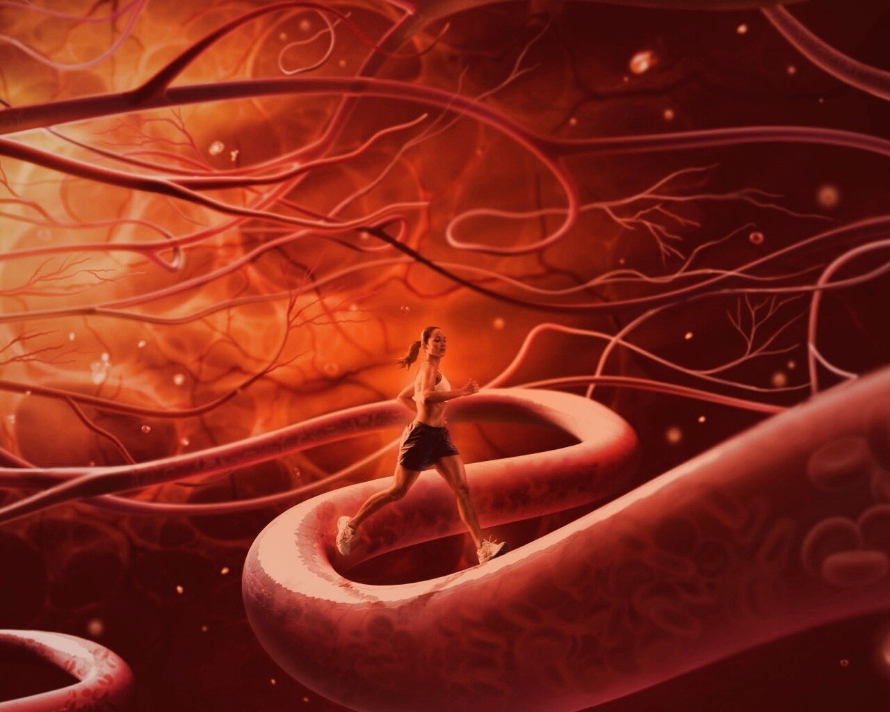 Бег крови обои