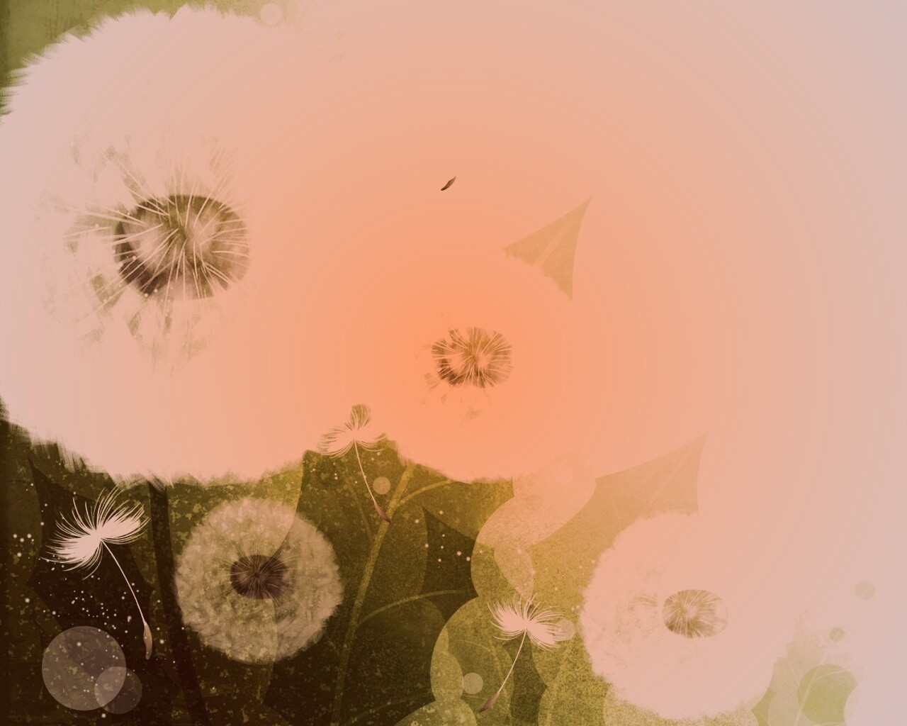 Одуванчики обои