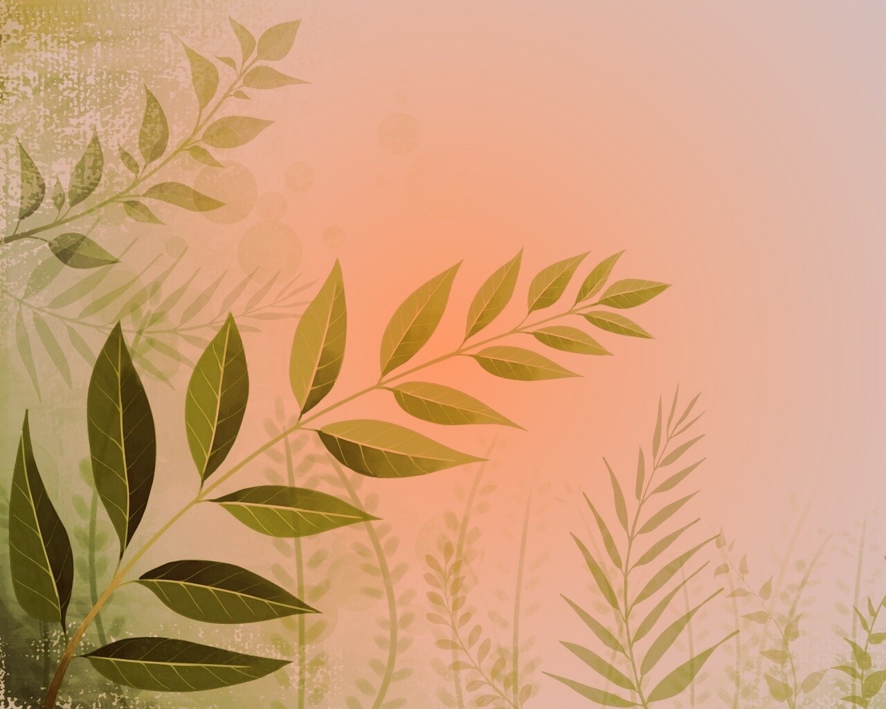 Веточка молодых листьев обои