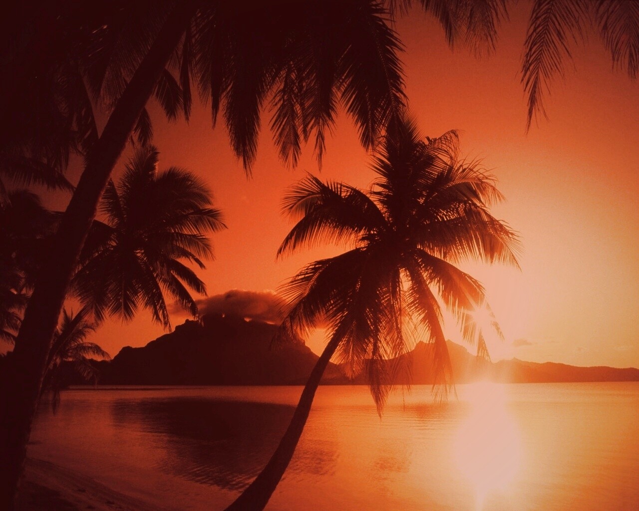 Закат в раю обои