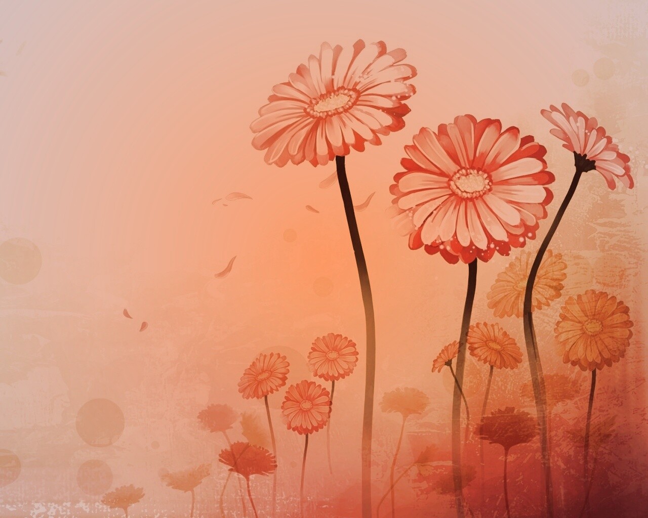 Векторные ромашки обои